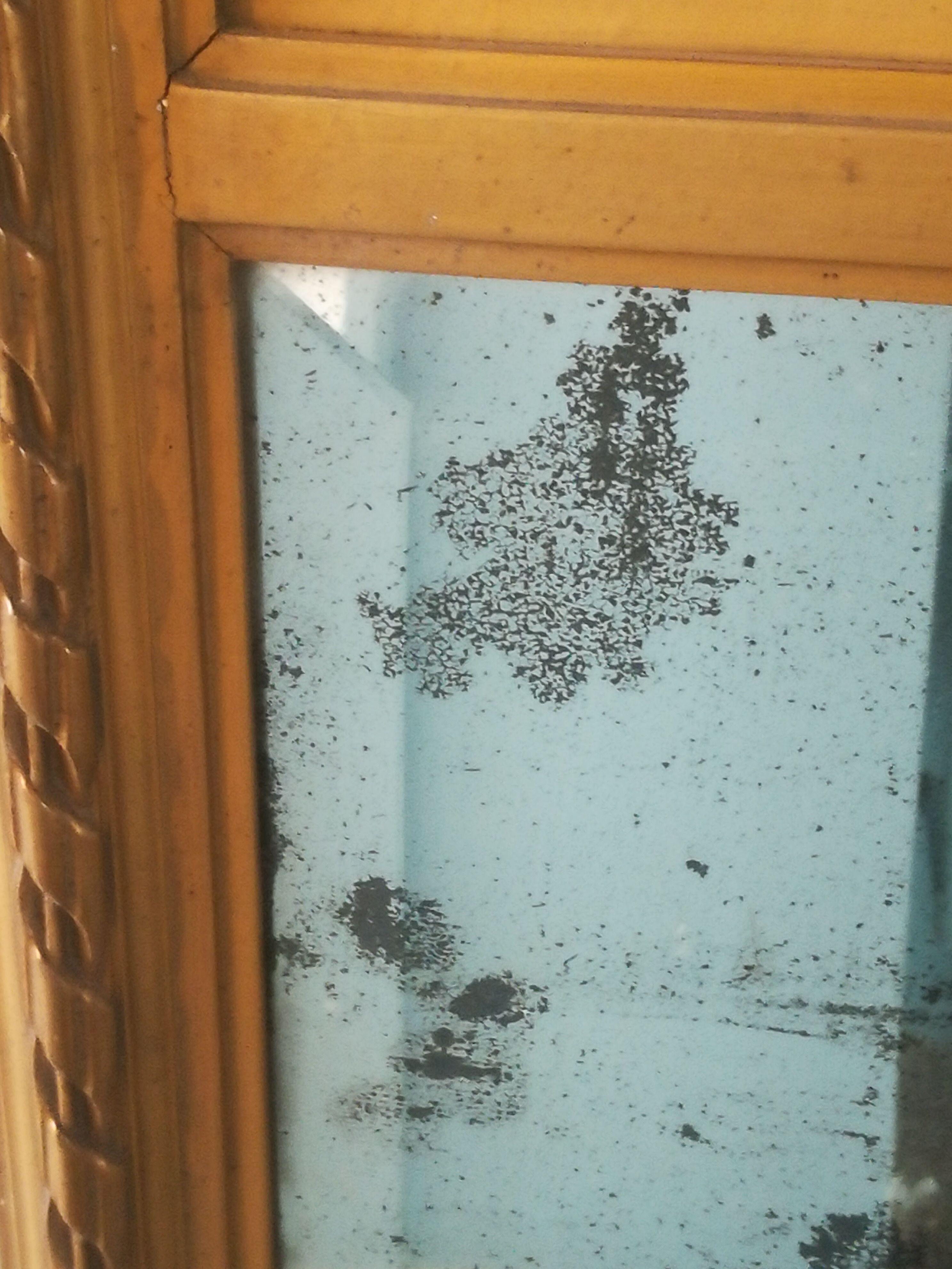 Louis XVI style mirror trumeau with angels 89x172cm