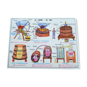 Educational poster