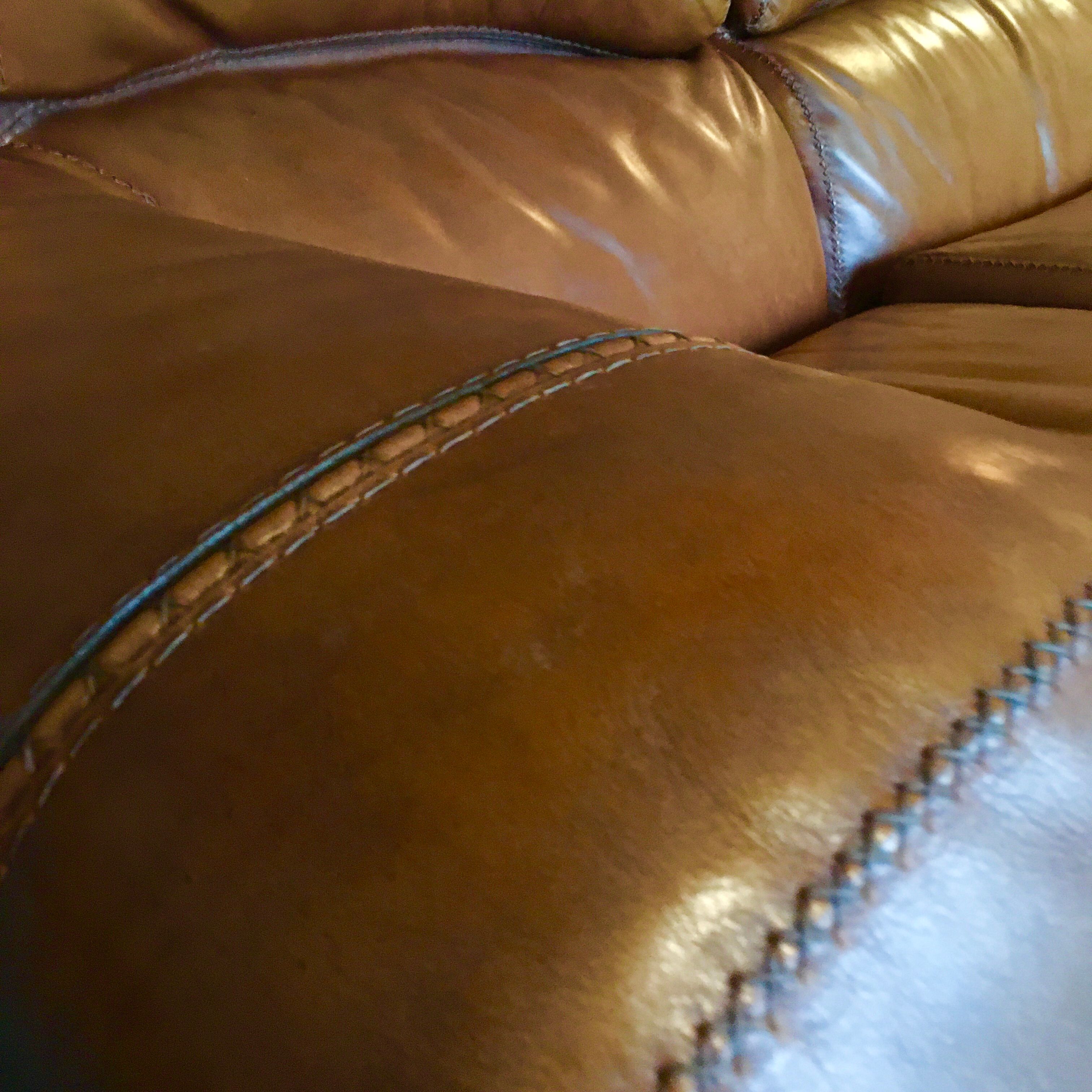 Sofa and leather armchair