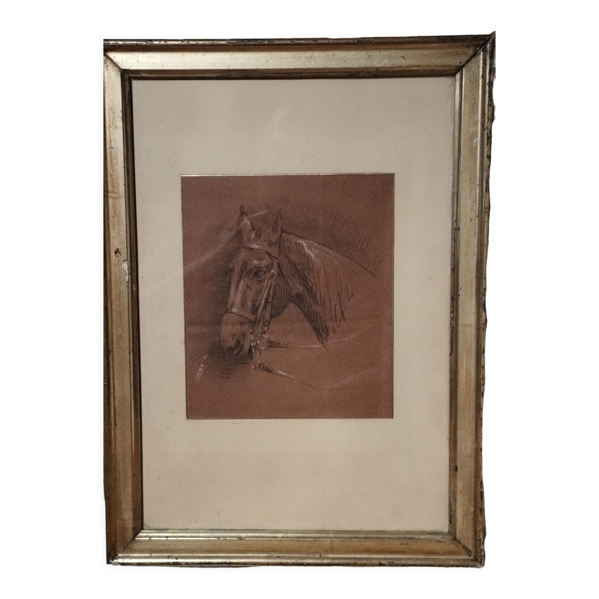 Painting, sketch on the theme of the horse, Pencil on XX th paper.