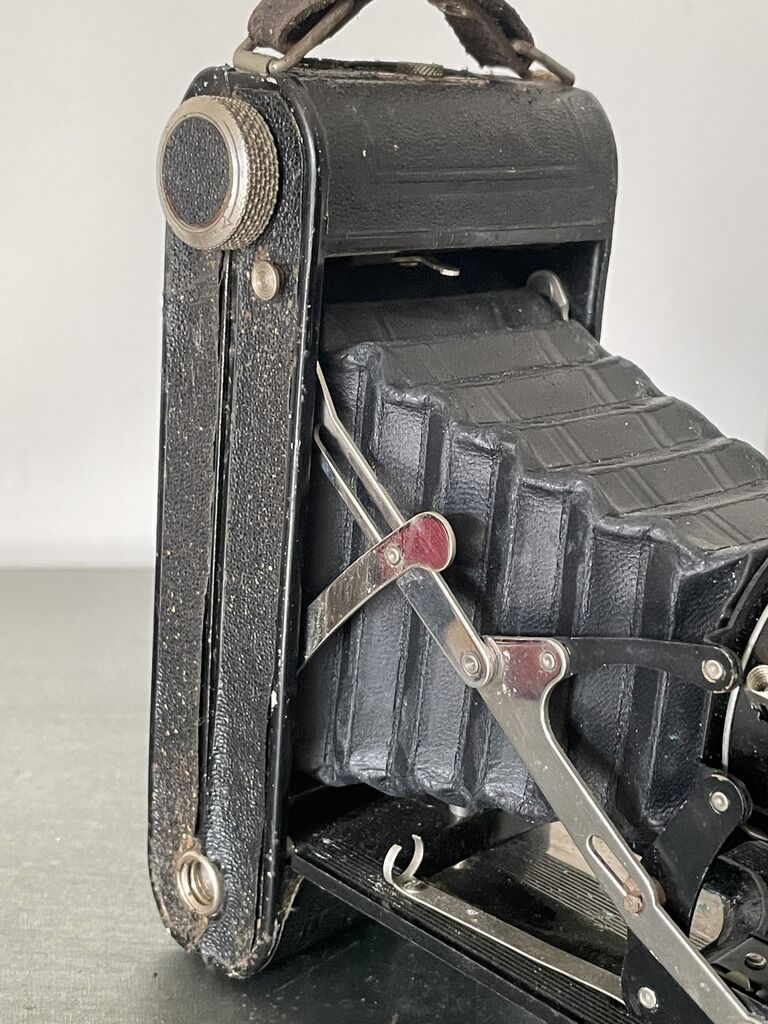 Vintage bellows camera
