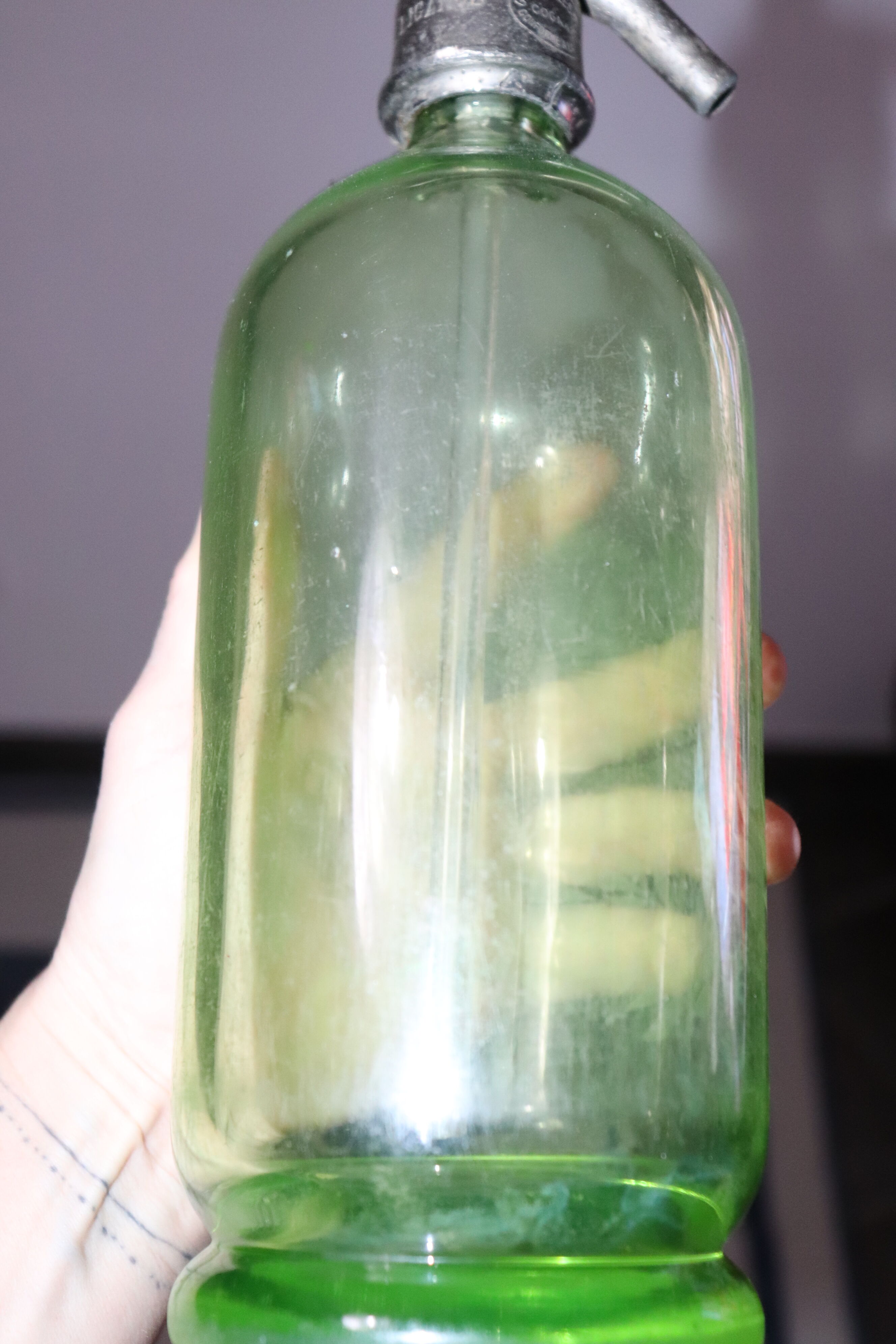 Green siphon glaciere d'arcachon