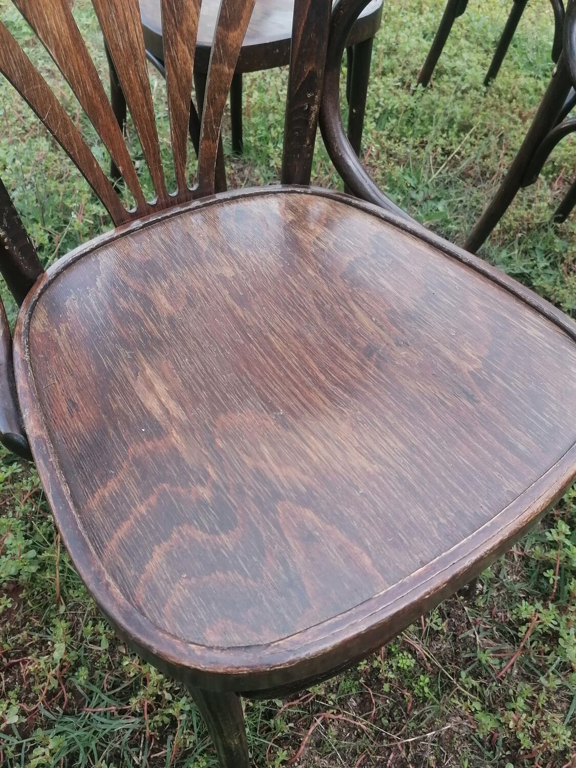 Set of 30 vintage bistro armchairs