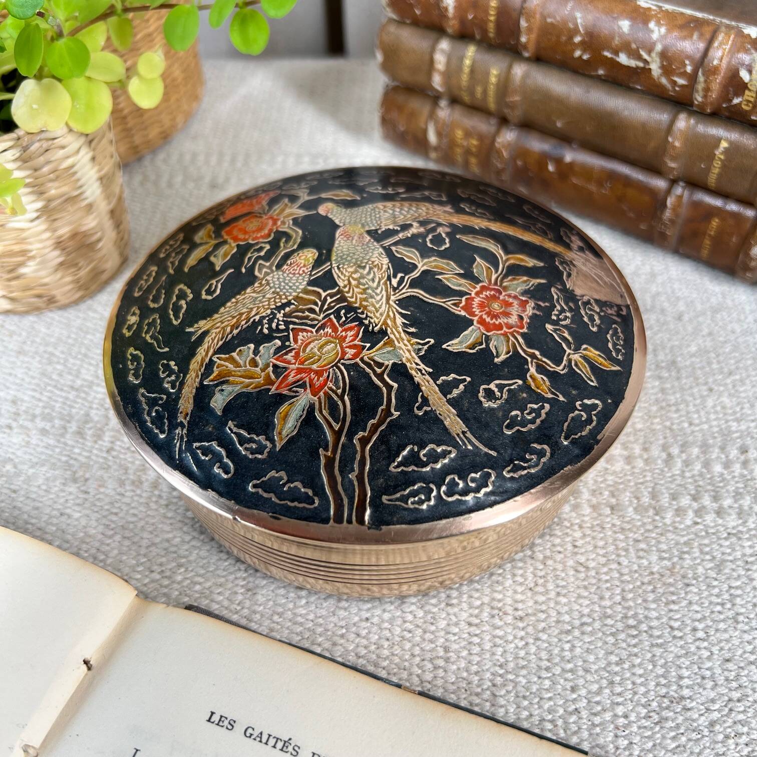 Parrots brass box