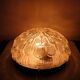 Vintage round glass ceiling light in the shape of a flower, 1970s.
