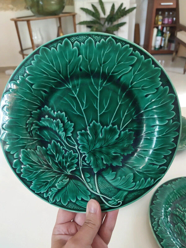 5 creil plates in slurry