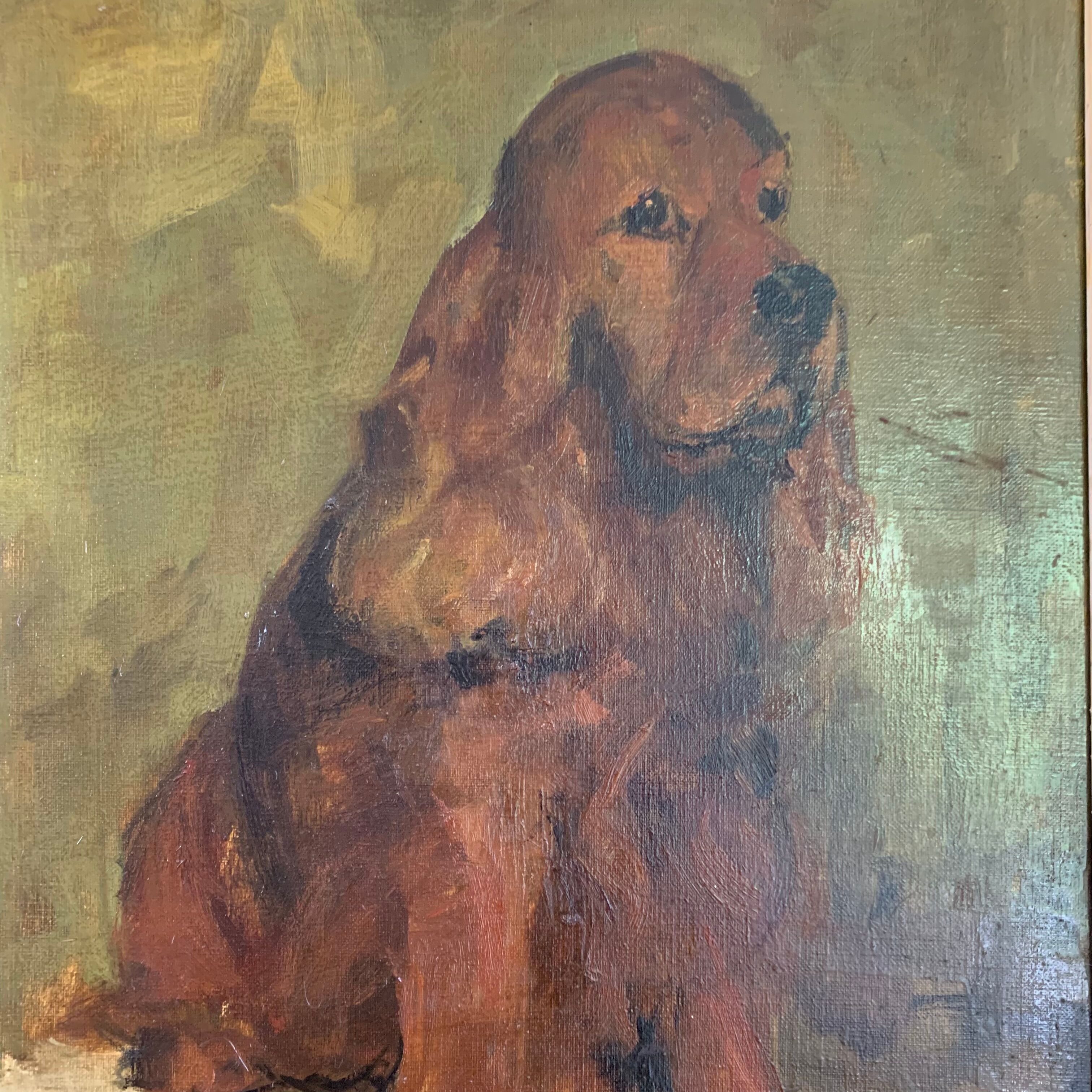 Portrait of a cocker spaniel dog