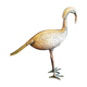 Large brass ibis
