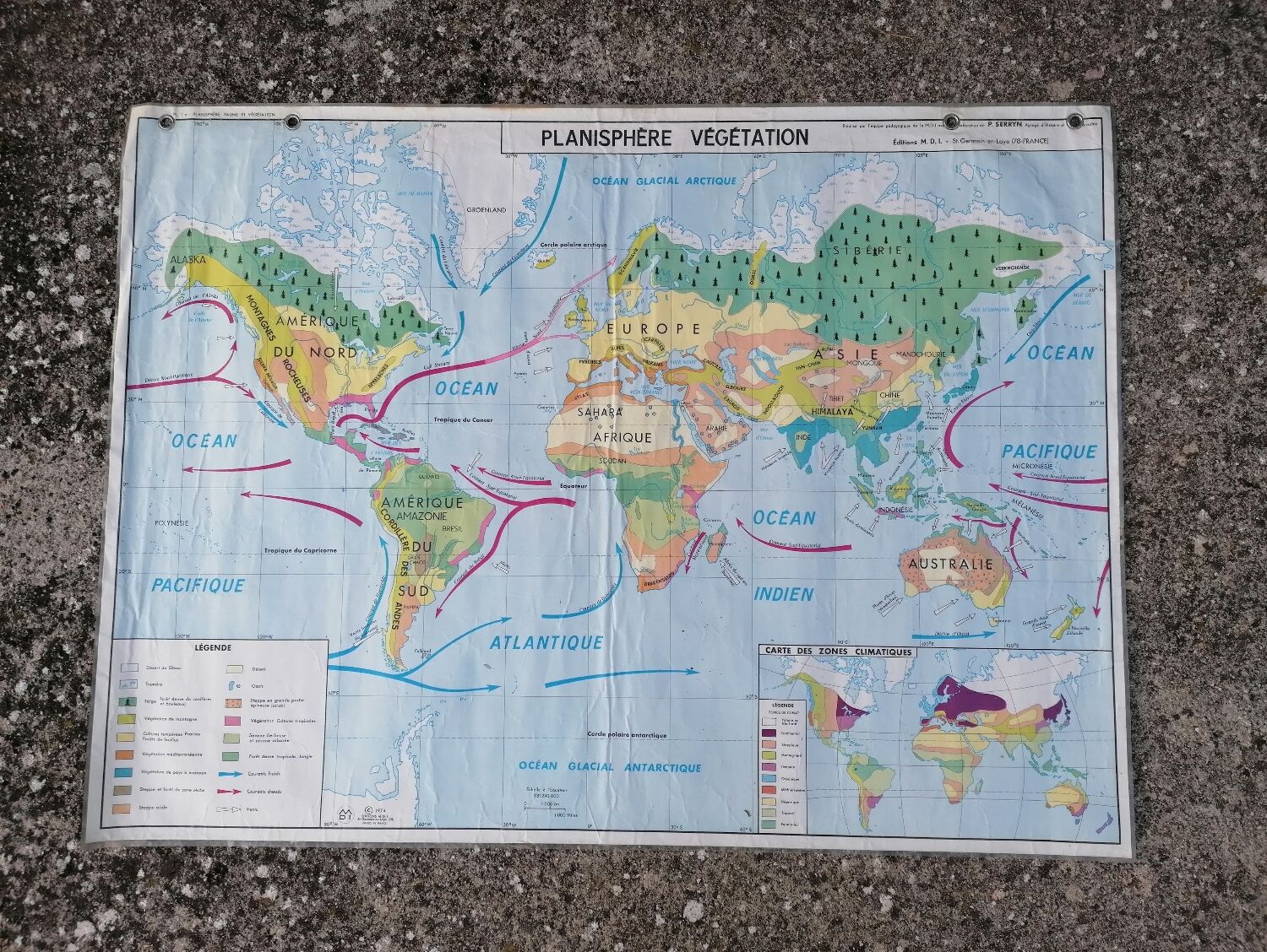 Planisphere world map vintage physics and vegetation