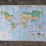 Planisphere world map vintage physics and vegetation