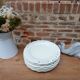 12 Italian ceramic plates