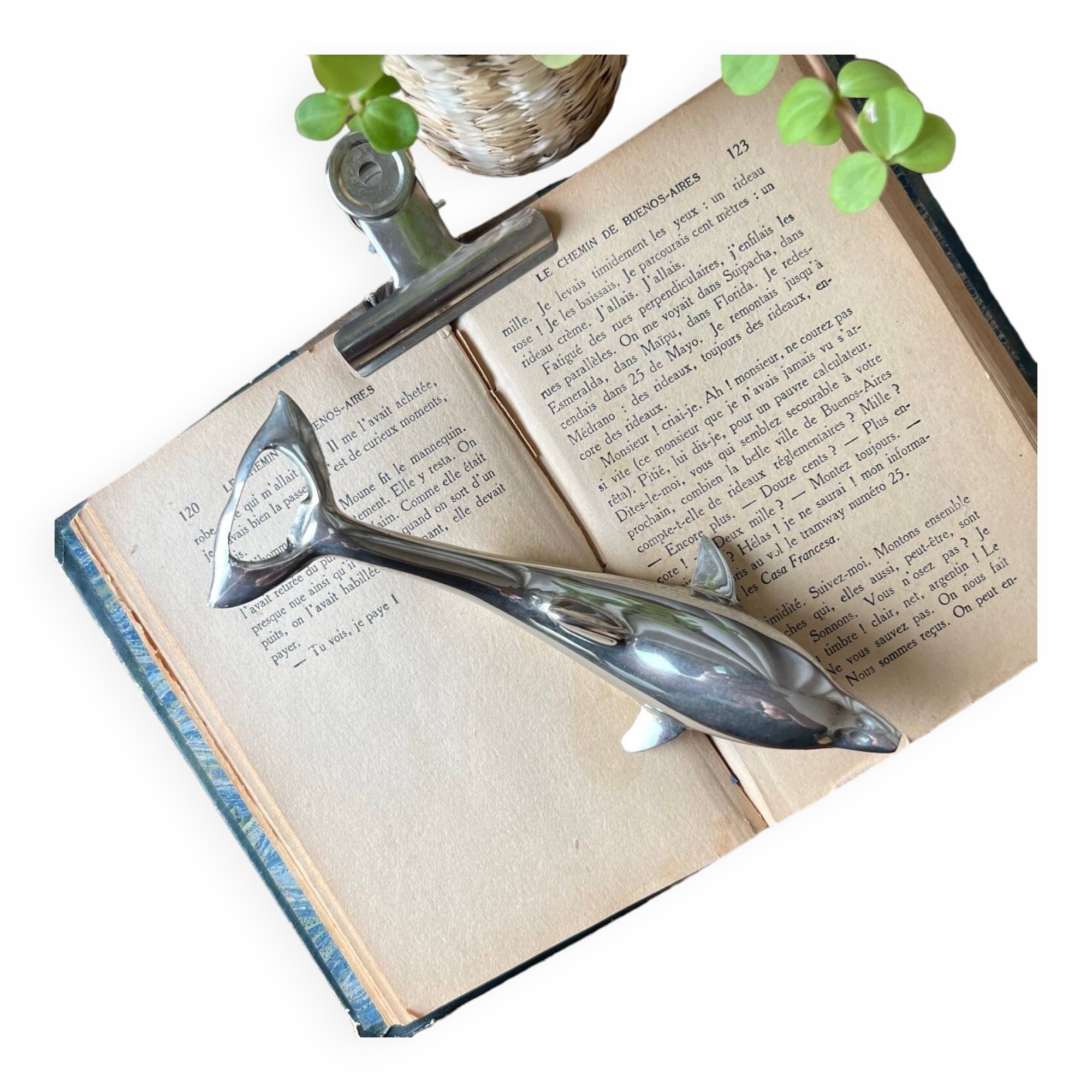 Dolphin bottle opener