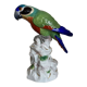 19th century Saxony porcelain parrot signed