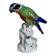 19th century Saxon porcelain parrot signed