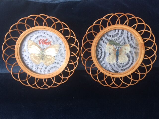 Butterfly coasters in rattan and glass