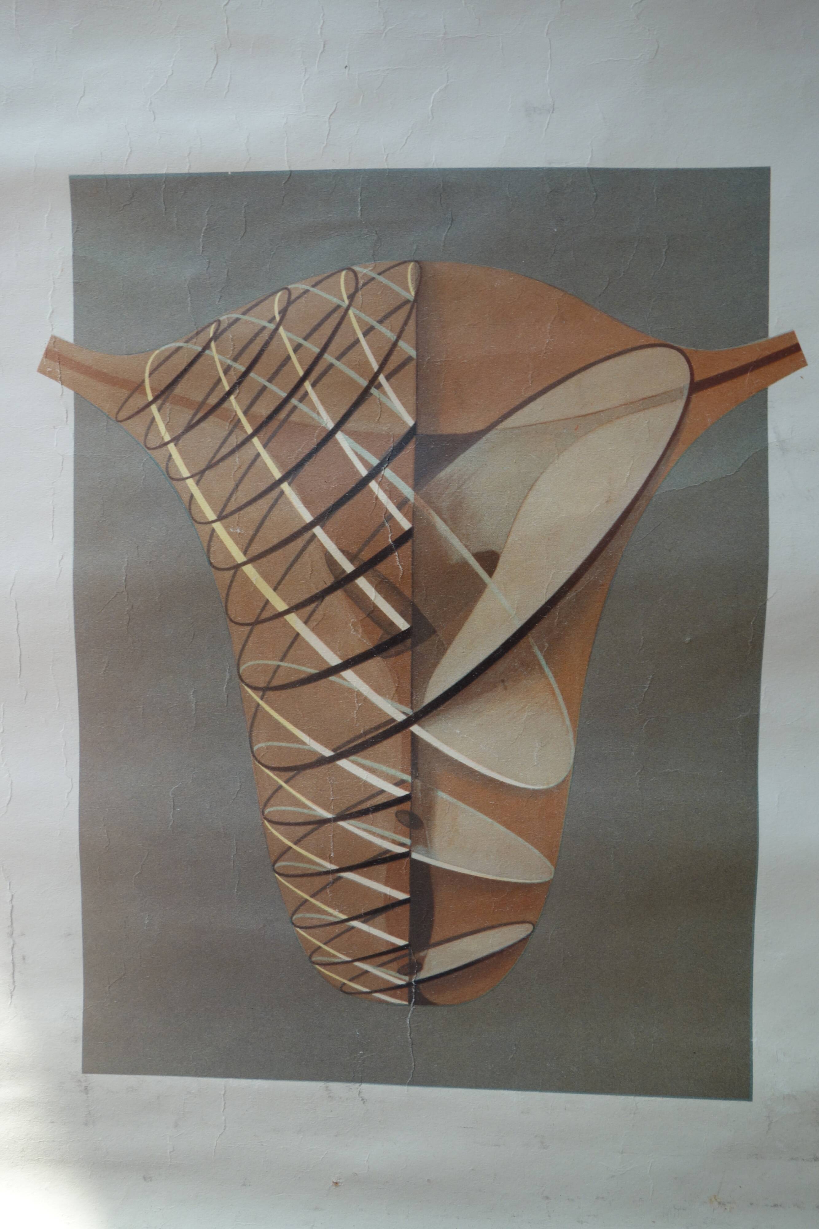 Ancient medical poster
