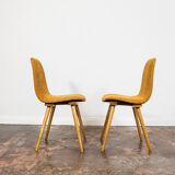 Set of 6 chairs model A 6150 from Zakłady Mebli Giętych Radomsko Fameg1960s