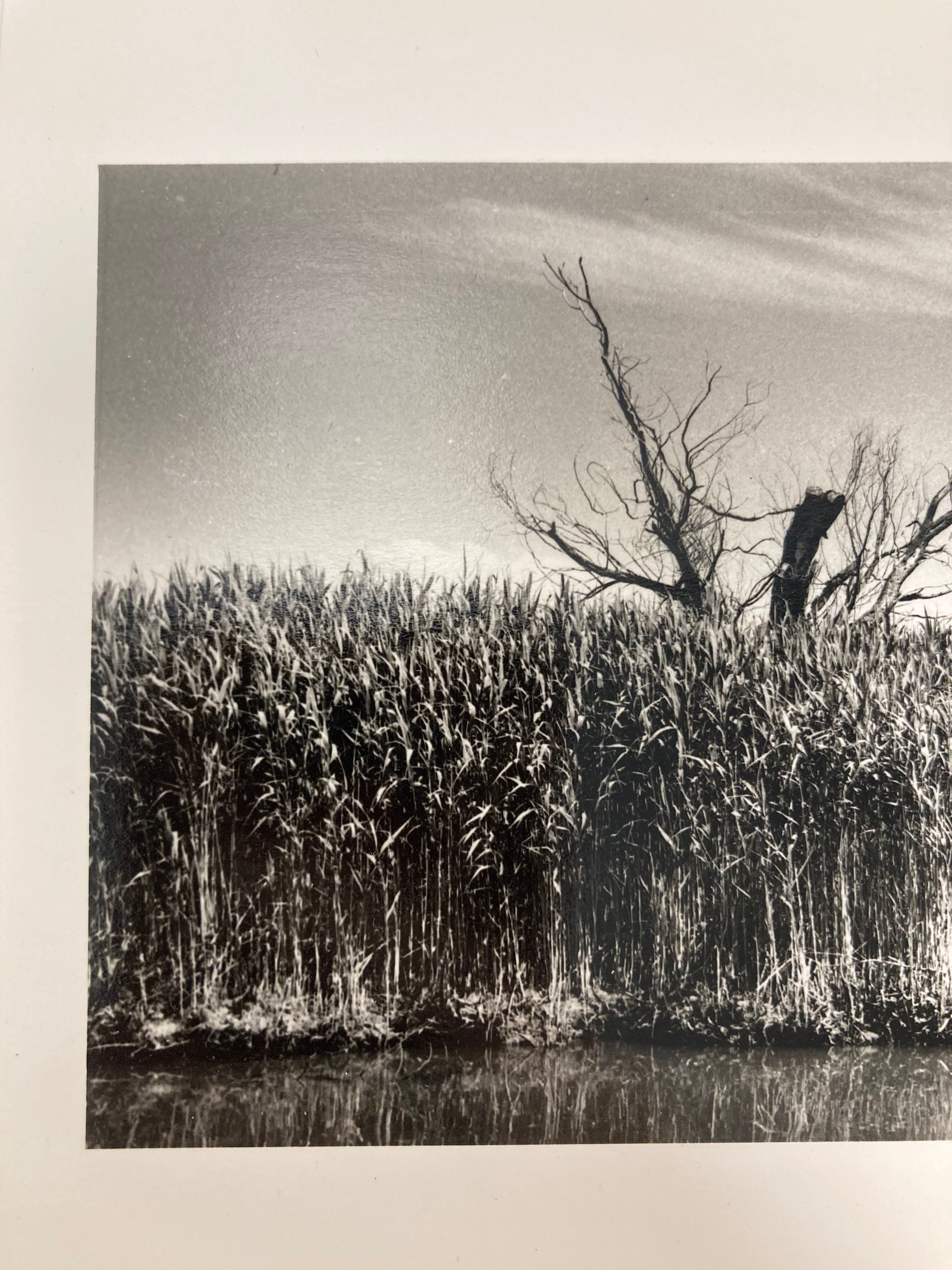 Film landscape photography