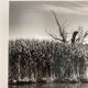 Film landscape photography