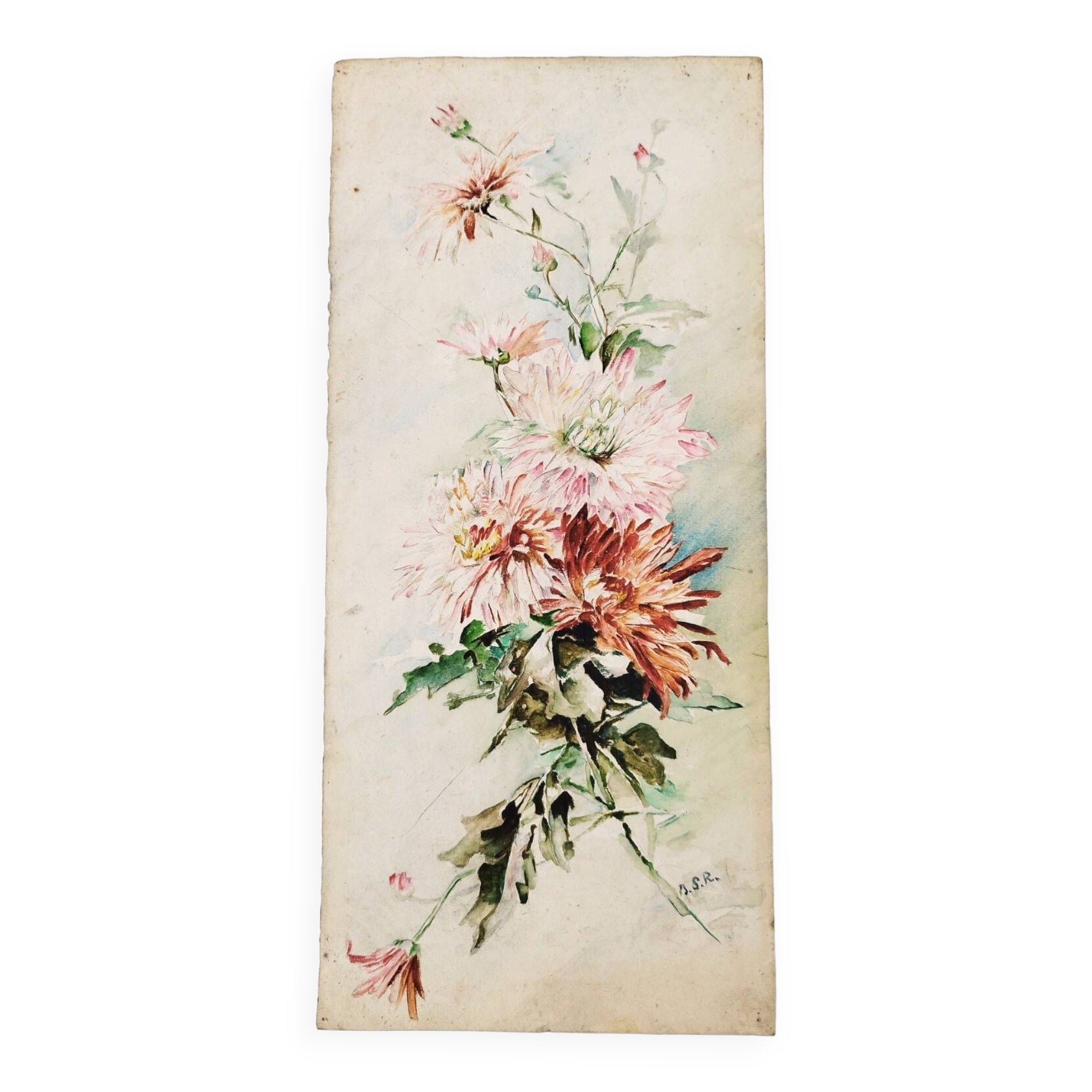 Watercolor bouquet of peonies signed vintage