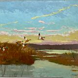 Flight of ducks
