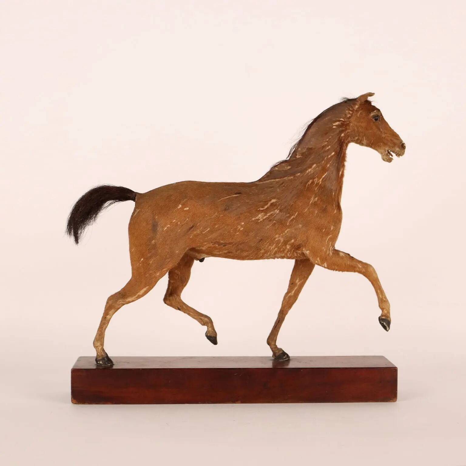 Horse sculpture by H. Fratin in wood, France, circa 1818.