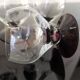 6 small retro smoked burgundy stemmed glasses