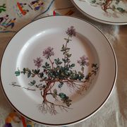 6 small plates - 20 cm - Botanica, Villeroy and Boch series