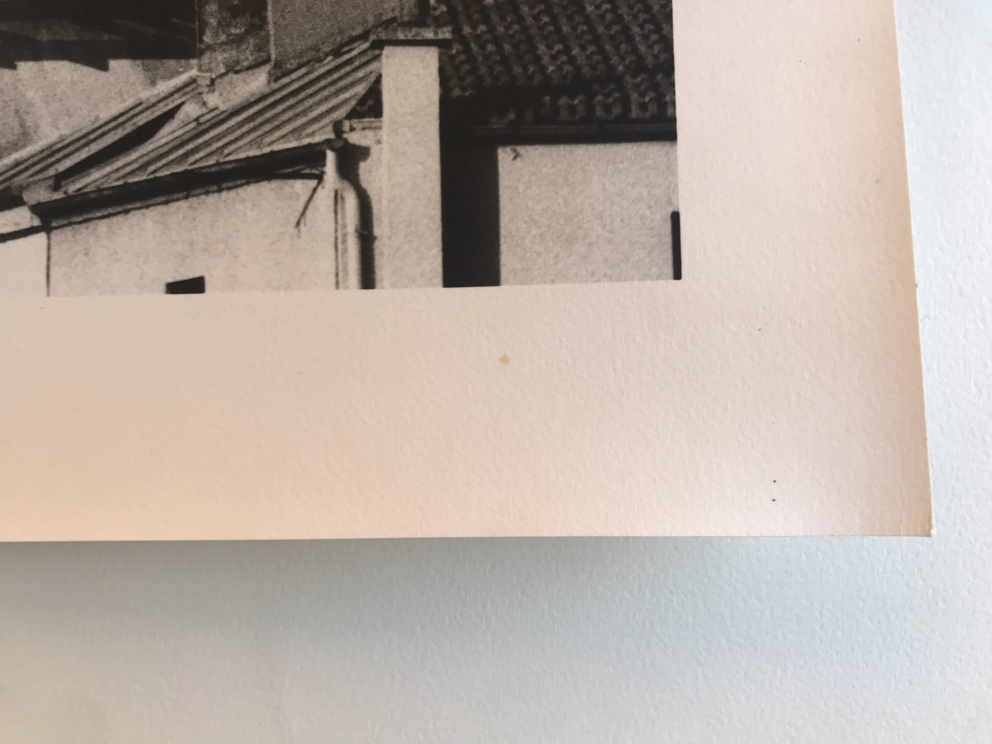 Rosine nusimovici, untitled (the black cow), 1987. black and white silver print