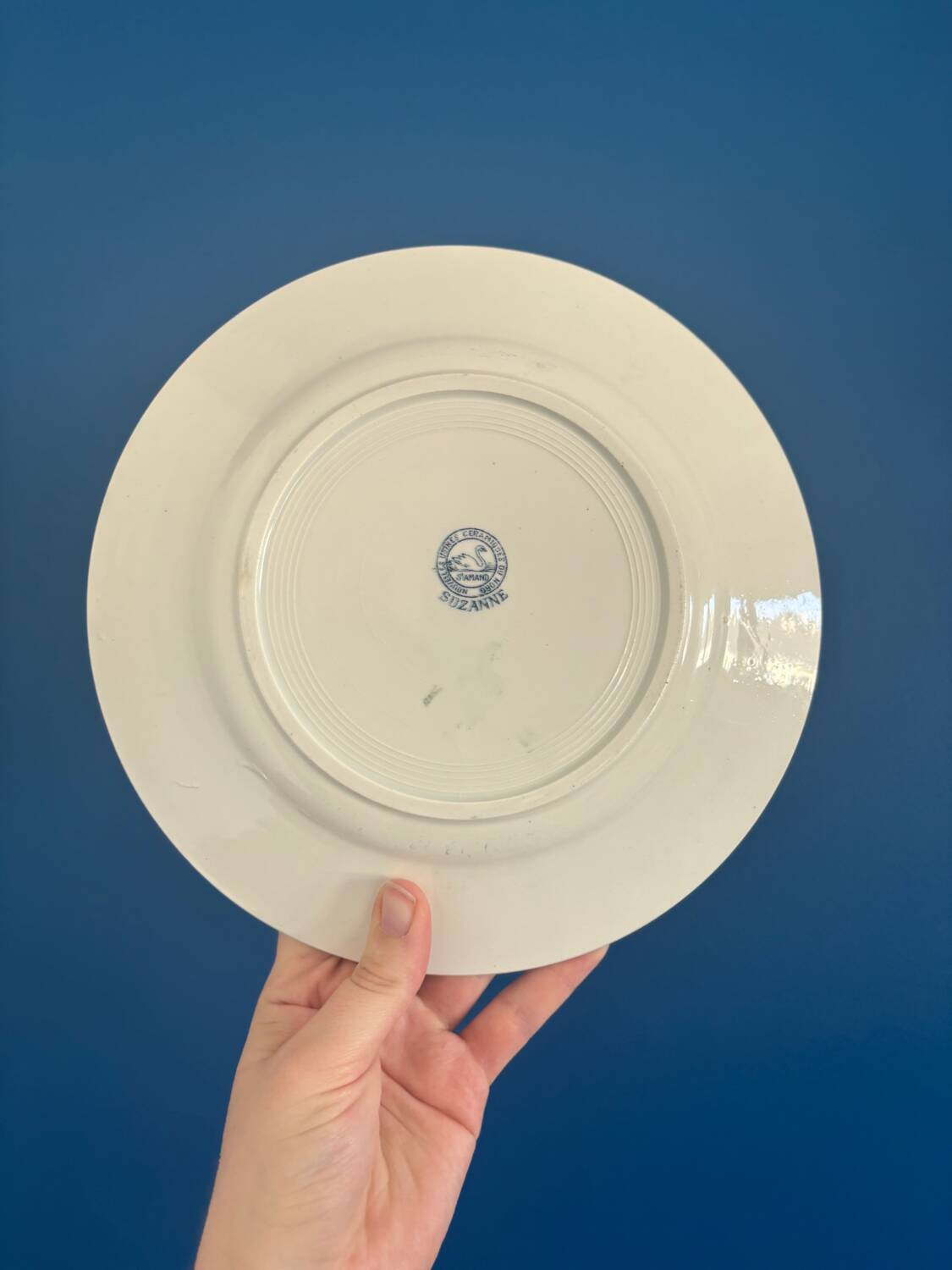 Set of 6 Saint-Amand Ironstone Plates Model Suzanne | Vaisse