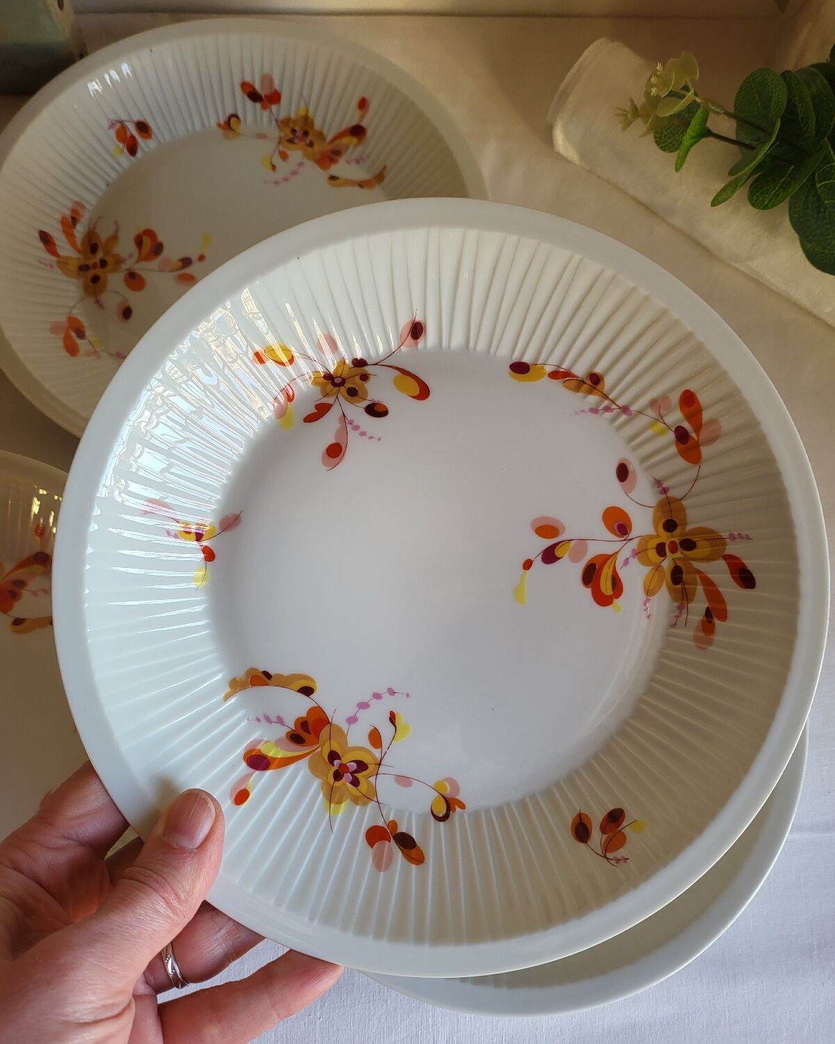 5 Assiettes à Creuses en Porcelaine Haviland France Limoges