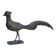 Brass peacock sculpture