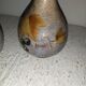 Pair of art-nouveau vases signed A Dubois.