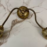 Articulated shell wall light