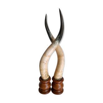 Pair of horns mounted on a pedestal