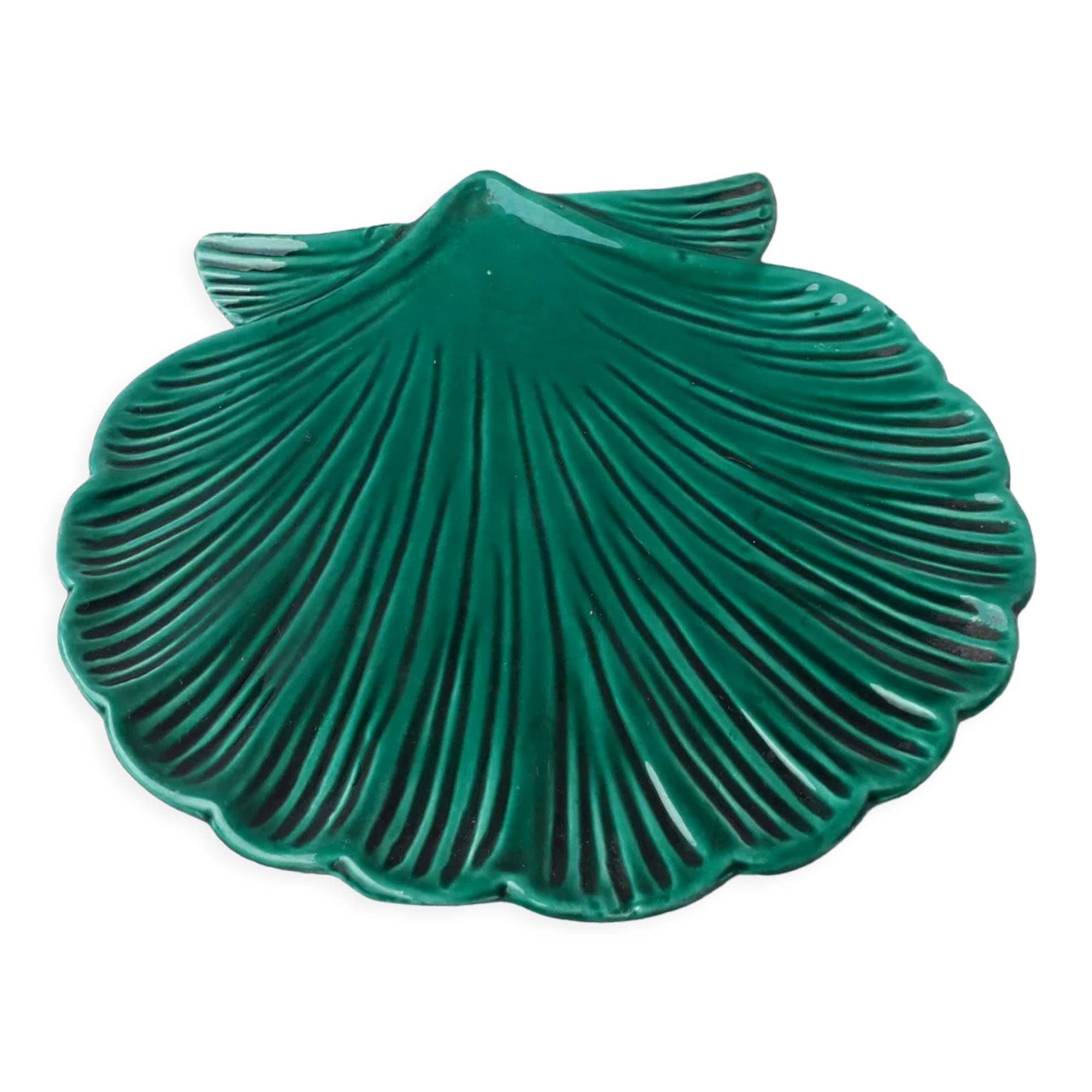 Scallop shell