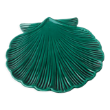Scallop shell