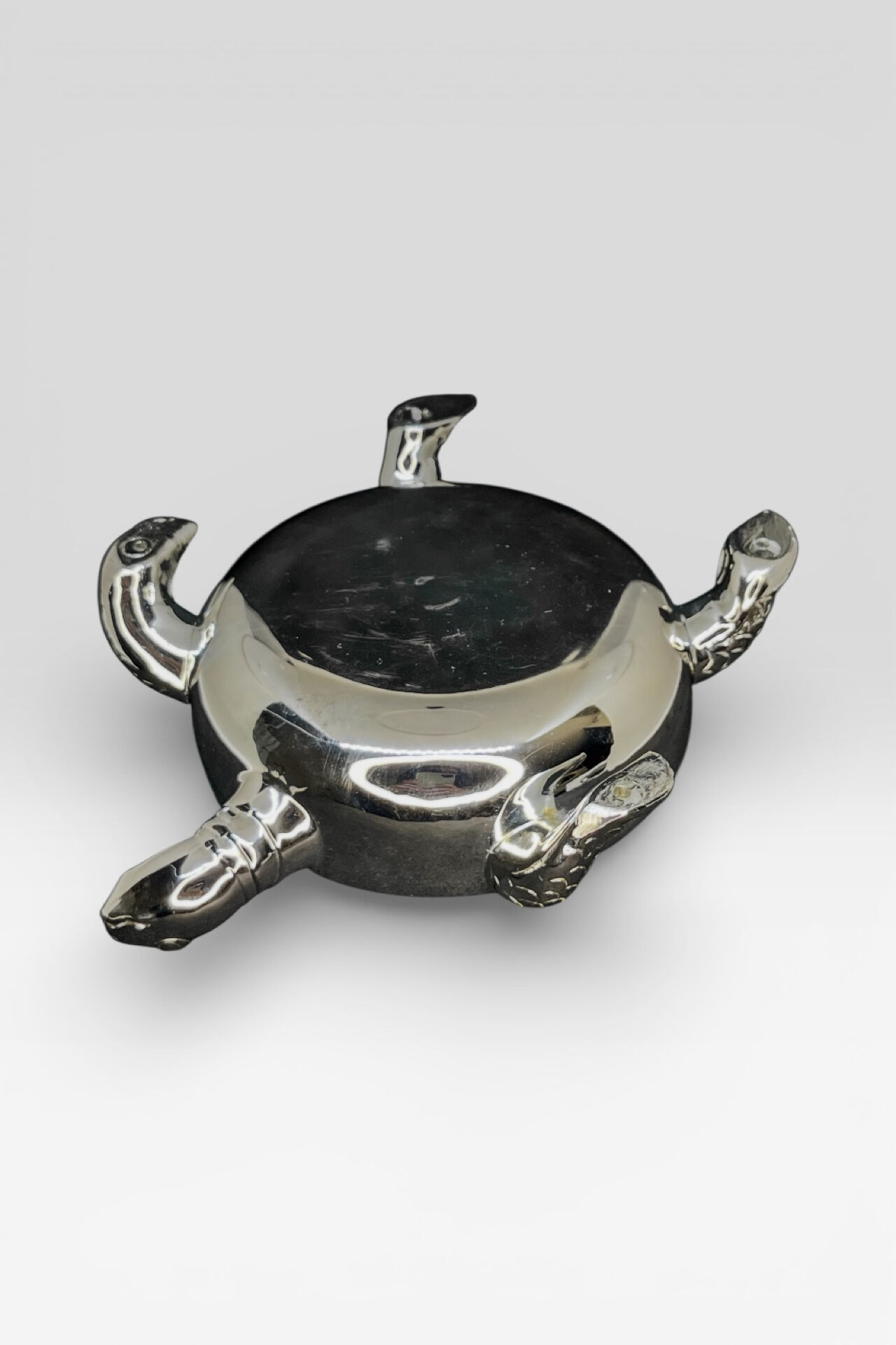 Turtle-shaped flower holder