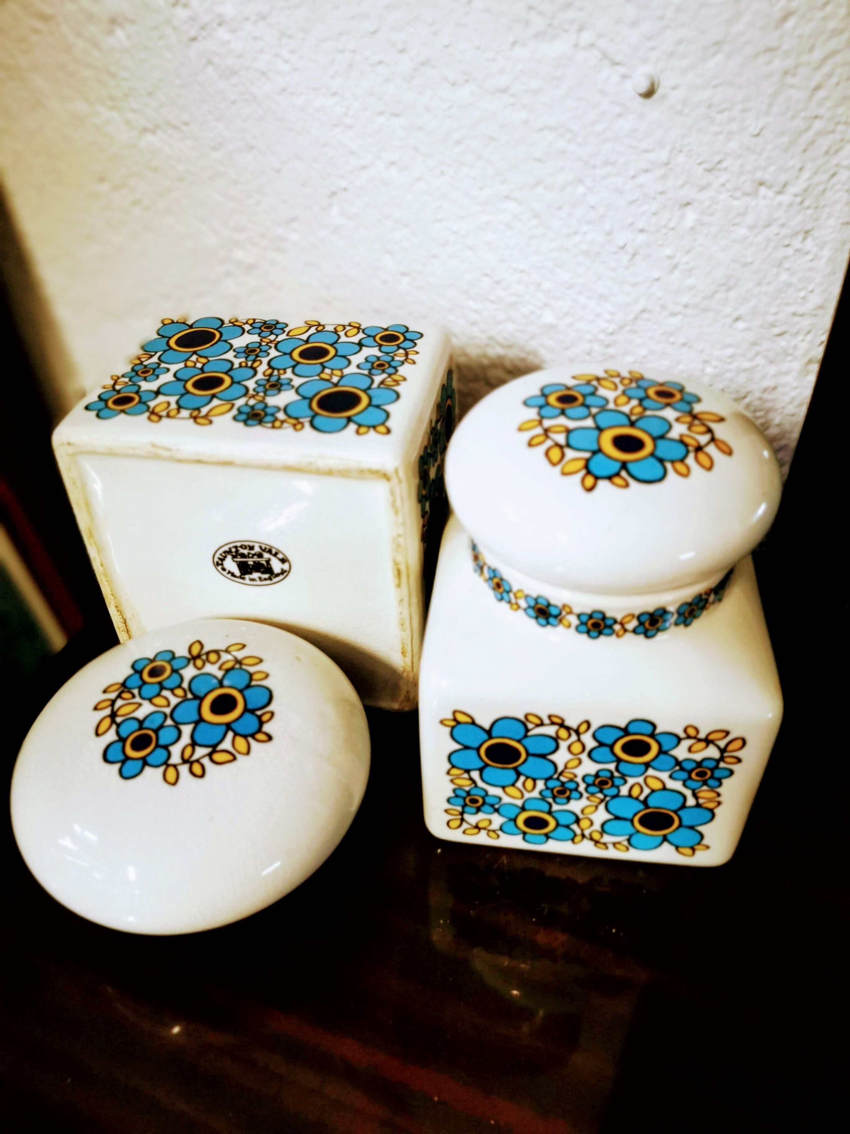 Paire de pots anglais Taunton Vale