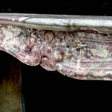 Regency Fireplace in Violet Breccia Marble, 18th Century