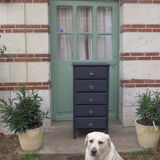 Renovated black chest of drawers