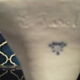 Bust limoges XlX century-signed