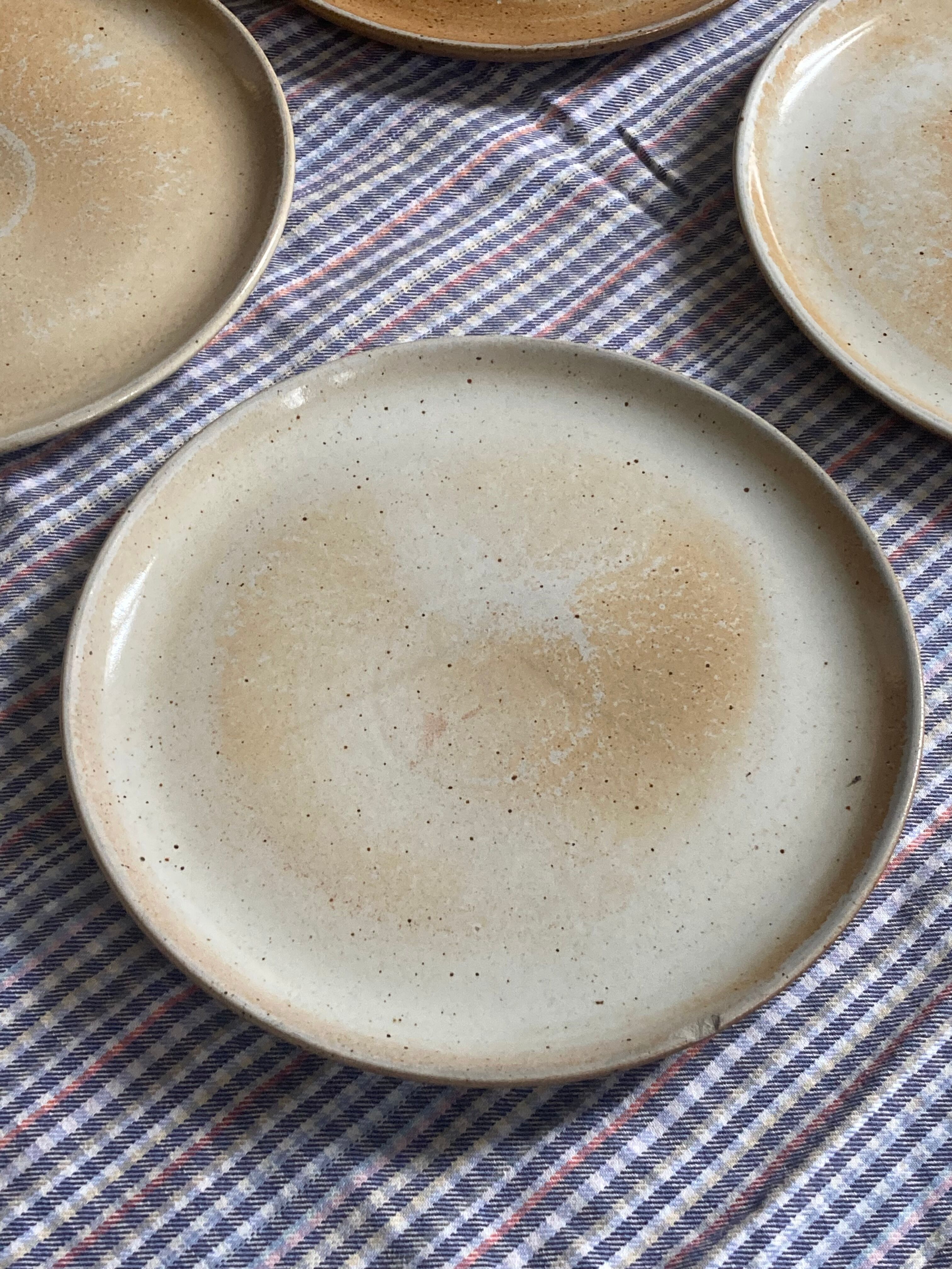 Flat plates in marshes stoneware paris