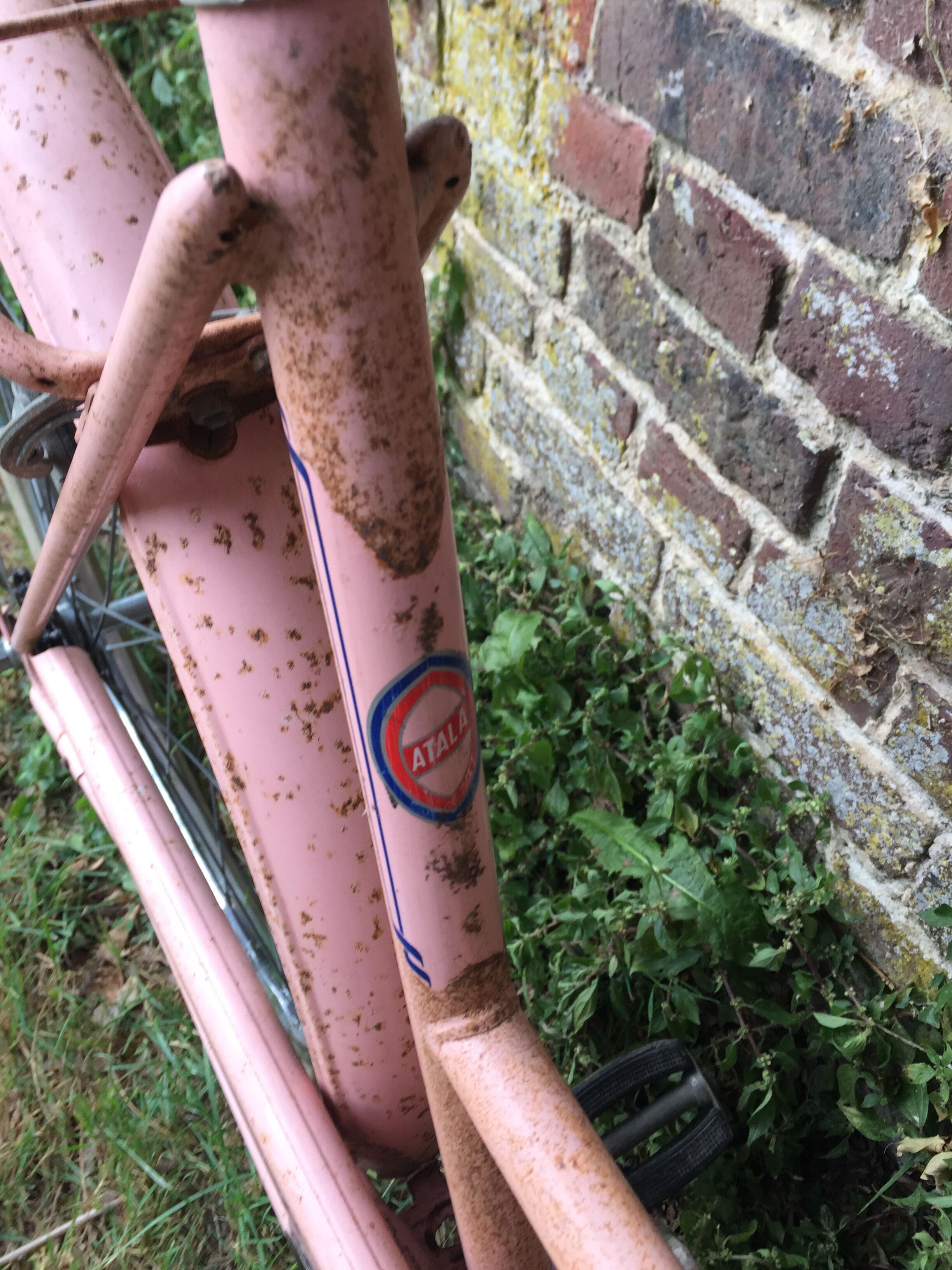 Vintage Italian Atala Bike