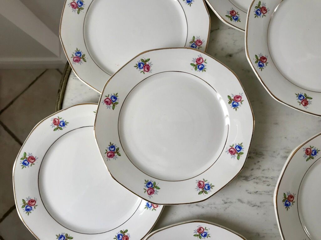 10 flat plates Digoin Sarreguemines model small flowers 50s