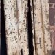 "Ethnic" double door, antique (19th/early 20th century)