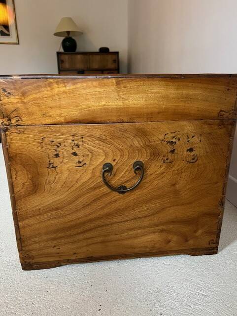 Chinese camphor wood chest