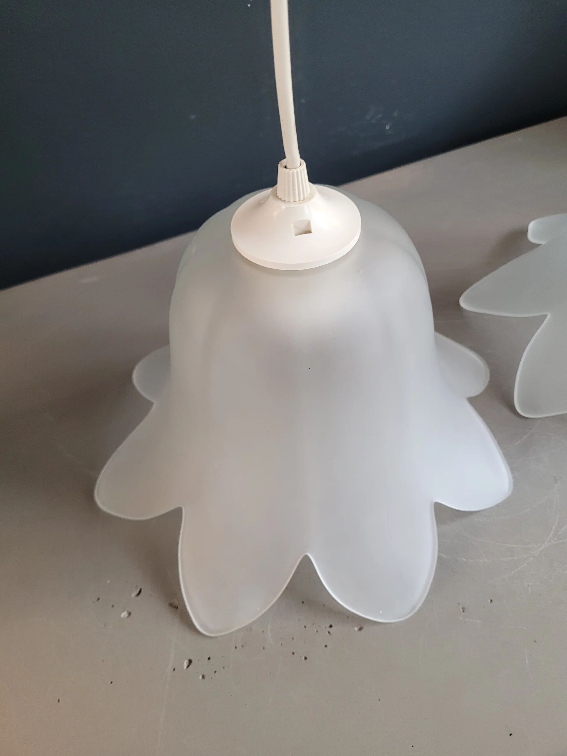 Pair of frosted glass flower pendant lights