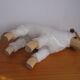 Set de moutons Hanns Peter Krafft pour Meier Allemagne années 1970