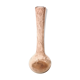 Soliflore rose